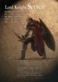 (SC32) [Fujiya Honten (Thomas)] CHRONICLE (Ragnarok Online) - page 26