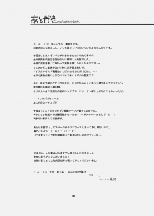 (SC32) [Fujiya Honten (Thomas)] CHRONICLE (Ragnarok Online) - page 25