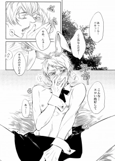 [Shout for Love (Bee)] Doddy Bunny (Hetalia) - page 12