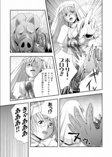 [faith] Seinaru Tatakai [Digital] - page 22