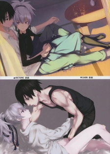 (C84) [Ajisaidenden (Kawakami Rokkaku, Takanashi Rei)] in scores (DARKER THAN BLACK) - page 10