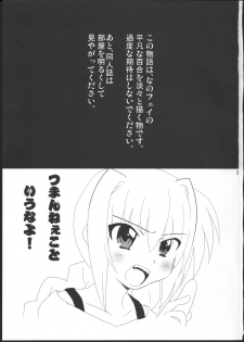 (C83) [Goberazzo (Mukaibi Aoi)] Onnanoko Doushi dakedo Ai sae Areba Kankeinai yo ne (Mahou Shoujo Lyrical Nanoha) - page 2