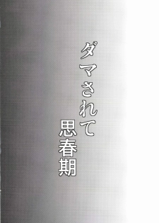 (C85) [H-SQUAD (Guglielmo)] Damasarete Shishunki - page 4