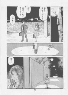 [WILD DUCK] Ashita Iro no Sora - page 14