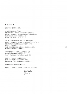 [Kamogawaya (Kamogawa Tanuki)] YDM Ver.E (Mahou Shoujo Lyrical Nanoha) [English] - page 20
