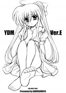 [Kamogawaya (Kamogawa Tanuki)] YDM Ver.E (Mahou Shoujo Lyrical Nanoha) [English] - page 1