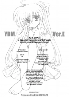 [Kamogawaya (Kamogawa Tanuki)] YDM Ver.E (Mahou Shoujo Lyrical Nanoha) [English] - page 22