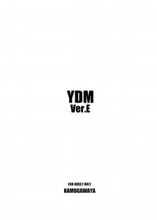 [Kamogawaya (Kamogawa Tanuki)] YDM Ver.E (Mahou Shoujo Lyrical Nanoha) [English] - page 23