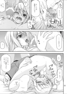 (COMIC1☆5) [CRIMSON GROUND (Miyashiro Sousuke)] Schwarzer Rafale (Infinite Stratos) - page 22