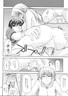 (COMIC1☆5) [CRIMSON GROUND (Miyashiro Sousuke)] Schwarzer Rafale (Infinite Stratos) - page 11