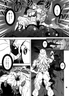 (C85) [nWa (Various)] Amazone ~The Second Impression~ (Dragon's Crown) - page 14