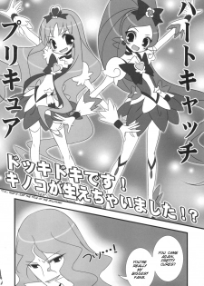 (C78) [Tennenseki (Suzuri)] Dokki Doki desu! Kinoko ga Haechaimashita!? (Heartcatch Precure!) [English] [SMDC] - page 5