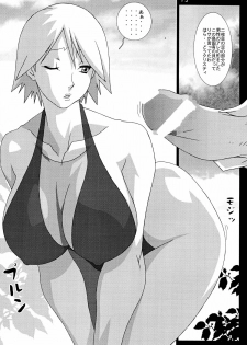 (C66) [Koutarou With T (Koutarou, Oyama Yasunaga, Tecchan)] GIRL POWER Vol.18 (Dead or Alive) - page 15