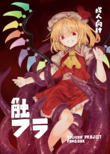 (Kouroumu 9) [Satei (s73d)] Shoku Fla (Touhou Project) [English] =LWB=