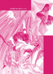 [Henrei-kai (Kawarajima Koh)] Hotaru Ame (Bishoujo Senshi Sailor Moon) [Digital] - page 14