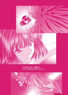 [Henrei-kai (Kawarajima Koh)] Hotaru Ame (Bishoujo Senshi Sailor Moon) [Digital] - page 17