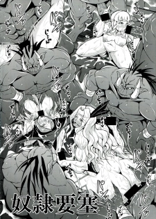 (C85) [MEAN MACHINE (Mifune Seijirou)] Dorei Yousai (Dragon's Crown) - page 4