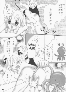 (C61) [LUNA PAPA] berry berry (Tokyo Mew Mew) - page 33