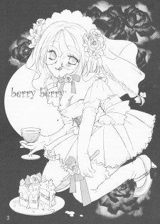 (C61) [LUNA PAPA] berry berry (Tokyo Mew Mew) - page 3
