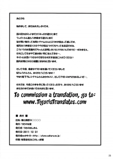 (C81) [Utanone Dou (Utanone Sion)] Boku to Shishou no ￮￮￮￮ | Master and I (Mahou Shoujo Lyrical Nanoha) [English] [Tigoris Translates] - page 24