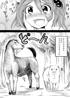 [Akitarainu (Chakkaman)] Kyonyuu nitori ga Inu Uma Buta to SEX suru Juukan Hon (Touhou Project) [Digital] - page 9