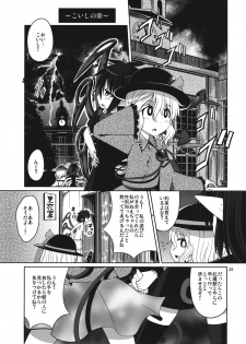 (Reitaisai 11) [AZUKI SHOT (Azuki)] Reverse Sexuality (Touhou Project) - page 24