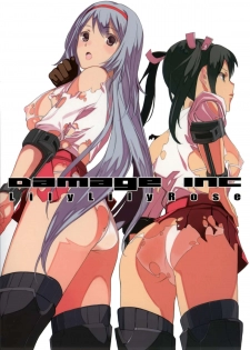 (C85) [Lily Lily Rose (Mibu Natsuki)] DAMAGEinc (Kantai Collection) - page 2