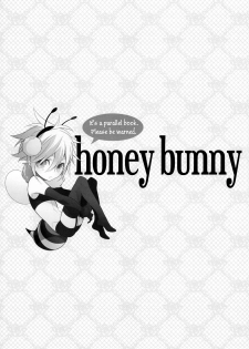 (C81) [Kiki (Fujiwara Beni)] Honey Bunny (Final Fantasy VII) [English] [Black Sky Scans] - page 2