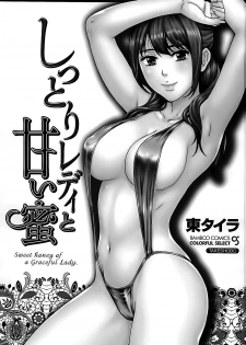 [Azuma Taira] Shittori Lady to Amai Mitsu - page 3