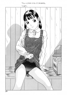 [Hayashibara Hikari] Shoukoujo ~Lolita Girls Collection~ - page 30