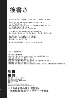 (Kamata Chinjufu 2) [Satellites, Gokusaishiki (Satetsu, Aya Shachou)] Bakugyaku no Tomo | Massacre of the Two (Kantai Collection) [English] {doujin-moe.us} - page 28