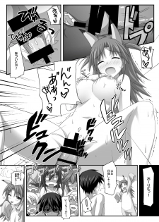 [KOJI2 (Tsuda Akira)] Nohohon Biyori+ (Infinite Stratos) [Digital] - page 12