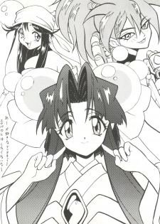 (C52) [Blood Company (B Village)] Blood Carnival (Nadesico, Evangelion, Midori no Makibao, Sailor Moon, Wedding Peach) - page 10