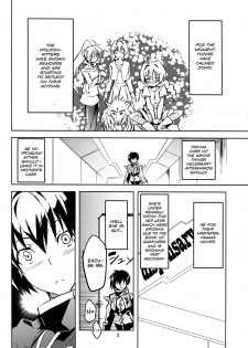 [IzumuNizm (Noshi)] HT HAYATAIIS (Mahou Shoujo Lyrical Nanoha) [English] - page 4
