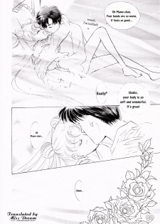 [PALE LILAC (Ohmori Madoka)] EARTH WIND (Sailor Moon) [English] {Miss Dream} - page 19