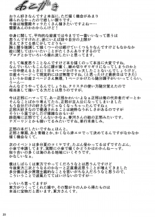(Reitaisai 11) [Tetsu no Otoshigo (Chirorian)] Neko no Kimochi wa Futeikei (Touhou Project) [English] - page 24