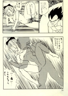 [kame-hame hanten] Okiraku Gokuraku Chou Kairaku - page 29