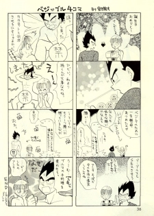 [kame-hame hanten] Okiraku Gokuraku Chou Kairaku - page 35