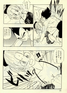 [kame-hame hanten] Okiraku Gokuraku Chou Kairaku - page 25