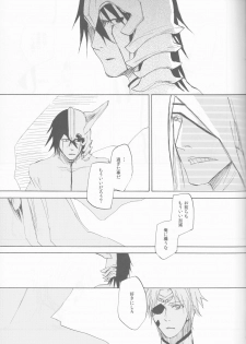 (C77) [mar/e (yotaka)] UZUMIBI (Bleach) - page 47