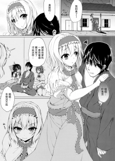 (Reitaisai 11) [Yusaritsukata (Awayume)] Call me, Alice! (Touhou Project) [Chinese] [无毒汉化组] - page 3