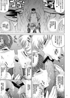 (C78) [BLACK DOG (Kuroinu Juu)] DARK BLUE MOON (Bishoujo Senshi Sailor Moon) [Chinese] [網上打飛機個人漢化] - page 21