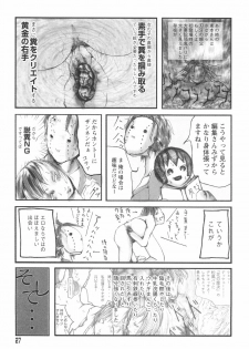 [Begirama] Otome Shikkaku - page 31