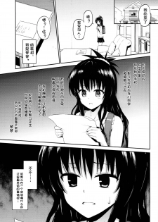 (C86) [Morimiyakan (Morimiya Masayuki)] Hana no Toriko (To LOVE-Ru) [Chinese] [幻域汉化] - page 4