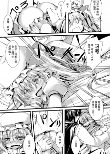 (C86) [Nechorapoddo (Nanpuu)] Oshioki Flan (Touhou Project) [Chinese] [CE家族社] - page 5