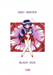 [BLACK DOG (Kuroinu Juu)] Red Hot Chili Pepper (Bishoujo Senshi Sailor Moon) [2002-01-31] [English] - page 30