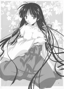 (C84) [Akai Shougeki (Yamamoto Kazue)] Akai Hakama Vol. 12.5 - page 2