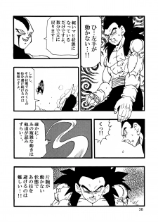 [Monkees (YoungJiJii)] Dragon Ball AF Vol. 12 (Dragon Ball GT) - page 39