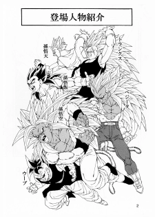[Monkees (YoungJiJii)] Dragon Ball AF Vol. 12 (Dragon Ball GT) - page 3