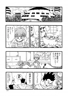 [Monkees (YoungJiJii)] Dragon Ball AF Vol. 12 (Dragon Ball GT) - page 24